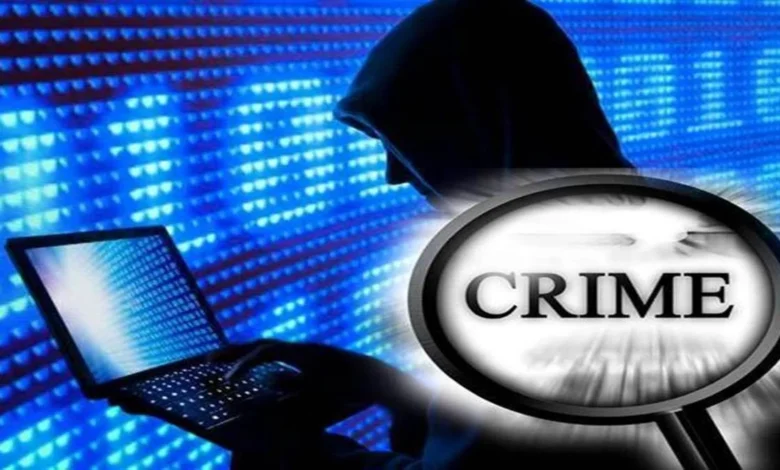13 12 2024 crime cyber demo 20241213 223753
