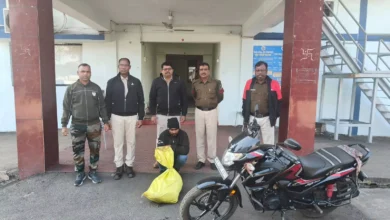 4236395 untitled 44 copy