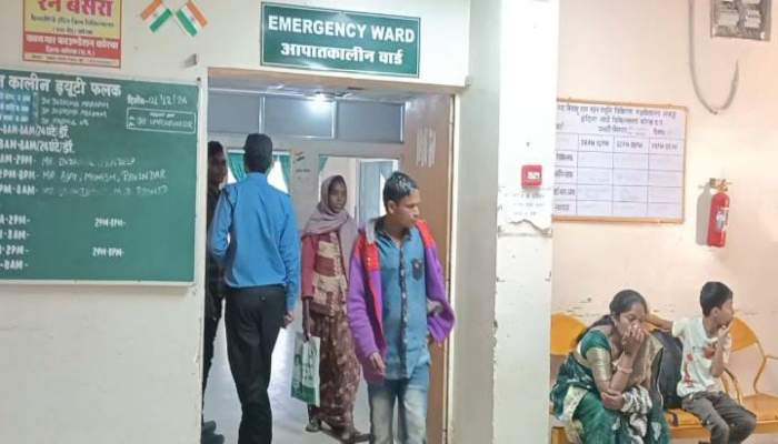 मधुमक्खियों के झुंड ने मजदूरों पर किया हमला, आधा दर्जन घायल, दो की हालत गंभीर 1 image 2024 12 09T193409.167