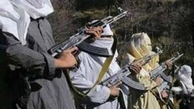 Infiltration in Poonch: पुंछ में आतंकी घुसपैठ, जवानों ने 2 आतंकवादियों को किया ढेर