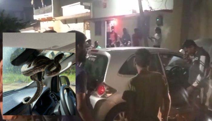 major accident averted: चलते कार के अंदर अचानक आ धमका सांप, मचा हड़कंप, बड़ा हादसा टला