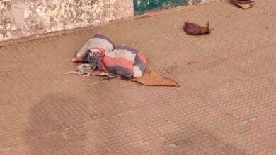 dead body of newborn: रिवर व्यू में नवजात शिशु का 2 टुकड़ों में मिला शव, इलाके में मचा हड़कंप