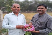 Presidential honor to farmer: किसान दंपत्ति को राष्ट्रपति का आमंत्रण, गणतंत्र दिवस पर होगा सम्मान