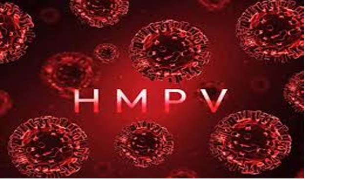 HMPV Virus: स्वास्थ्य मंत्री ने HMPV वायरस को लेकर ली बड़ी बैठक, बीमारी से निपटने बनाई रणनीति