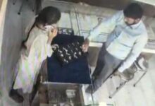 Theft in jeweler's shop: सराफा दुकान खरीददार बनकर पहुंचा चोर, 10 अंगूठियां हाथ में पहनी और फरार हुआ