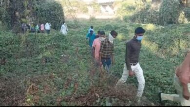 Unique case in Bilaspur: दफन करने के 7 दिन बाद कब्र से निकाला गया शव, परिजनों ने दुबारा किया अंतिम संस्कार