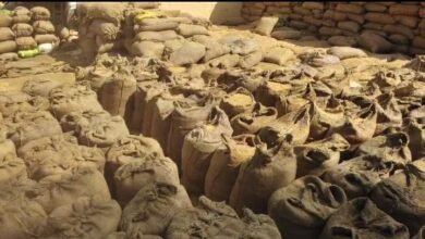 Storage Centre: 3 साल बाद फिर खुले संग्रहण केंद्र, खरीदी केंद्रों के बचे धानों को किया जाएगा नीलाम