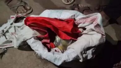 Black magic in elections: सरपंच बनाने ग्रामीण ले रहे तंत्र-मंत्र का सहारा, नीबू और बंधन बरामद