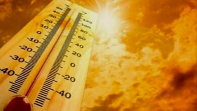 IMG 20250228 140740 6