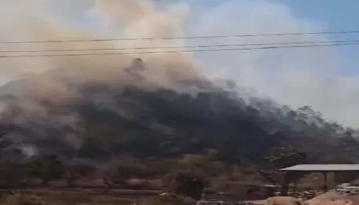 Forest fire: पहाड़ी जंगल में लगी भीषण आग, तेज लपटों से हो रहे पेड़-पौधे खत्म