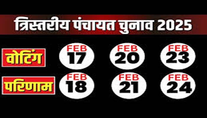 Panchayat elections: जशपुर जिले में भाजपा को तगड़ा झटका, कांग्रेस और निर्दलीय ने जीता पंचायत चुनाव