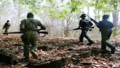 Police Naxalite encounter: जवानों ने मुठभेड़ में 8 नक्सलियों को किया ढेर, दोनों तरफ से फायरिंग जारी, आटोमेटिक हथियार भी बरामद