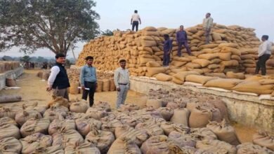 Disturbances in paddy procurement: धान खरीदी में 60 लाख से ज्यादा की गड़बड़ी उजागर, प्रबंधक और फड़ प्रभारी पर मामला दर्ज