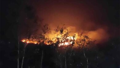 Forest fire: रायगढ़ की पहाड़ी में भीषण आग, आस-पास मची अफरा-तफरी