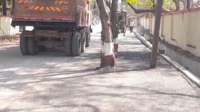 Negligence of Railways: रेलवे प्रबंधन और ठेकेदार की लापरवाही, स्टेशन पर अव्यवस्थाओं का अंबार, झाड़ियों के बीच बनाई जा रही सड़क