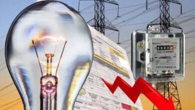 Chhattisgarh, half electricity bill, 200 units, Vishnu Dev Sai, CM announcement, domestic consumers, PM SuryaGhar, solar plant, energy saving, electricity relief, government scheme, Raipur, power subsidy, household electricity,