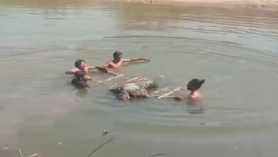 Body found in river: नदी में मिला युवक का शव, सिर में गंभीर चोट; पुलिस जुटी जांच में 