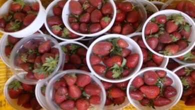 image 2025 02 24T151632.600