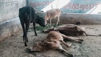 image 2025 02 27T142835.648