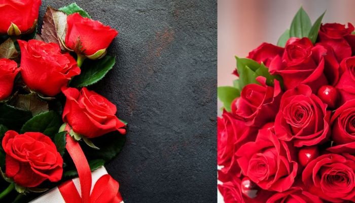 HAPPY ROSE DAY : प्यार के सप्ताह की हो चुकी शुरुवात, लेकिन प्यार में गुलाब ही क्यों है खास ? 1 rose day