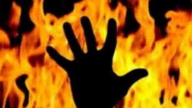 आग में झुलस कर गई दोनों की जान