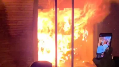 1002897084 1742595636