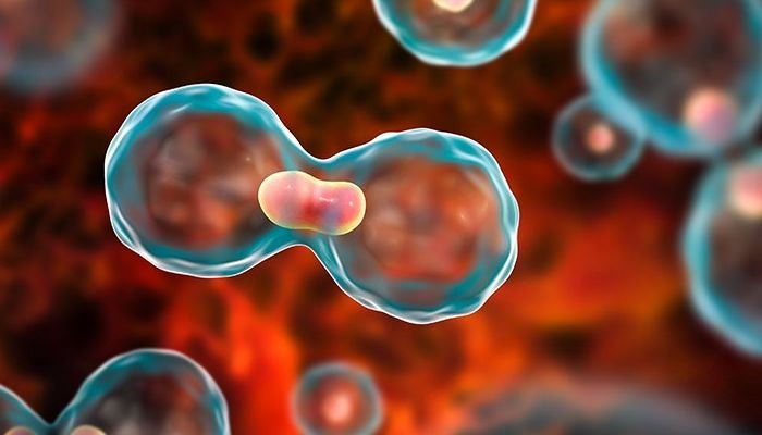 भारत का ऐसा गांव, जहां हुआ है कैंसर का विस्फोट 1 113 2