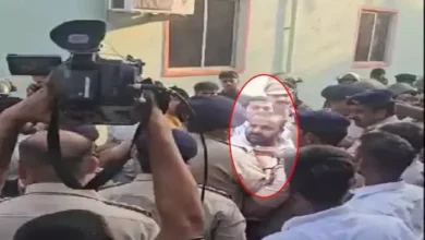 4442695 untitled 41 copy