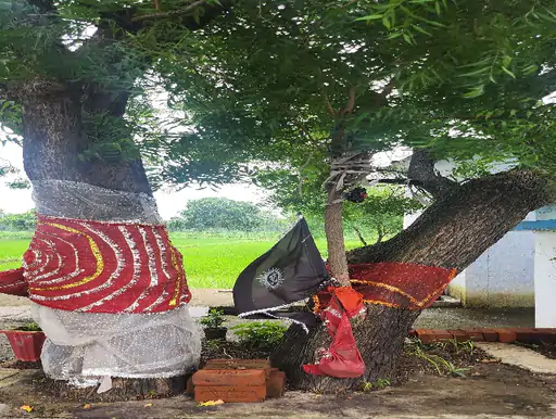 छत्तीसगढ़ का अनोखा मंदिर, जहां परेतीन दाई की होती है पूजा 1 अनोखा मंदिर