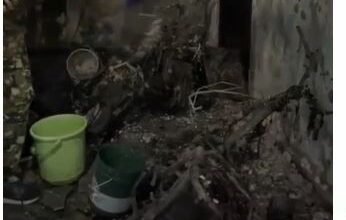 CaptureDAWD e1743237824452