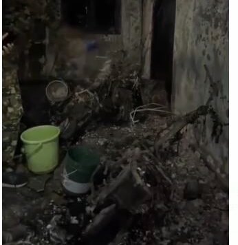 CaptureDAWD e1743237824452