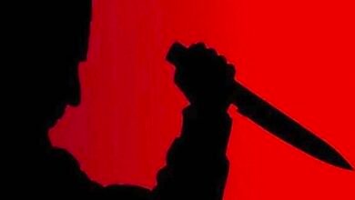 IMG 20250305 112458 3