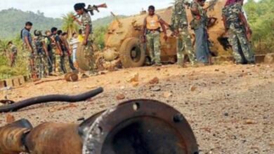 IMG 20250307 125335 1