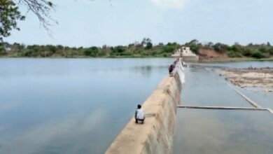 IMG 20250308 125142 1