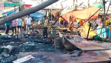 IMG 20250312 115639 1