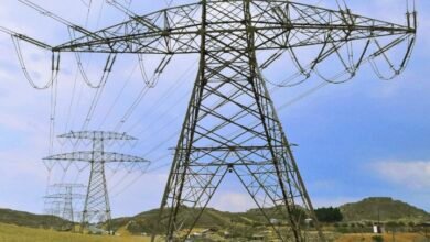 भारत की बढ़ती बिजली की मांग: 2030 तक 600 गीगावाट गैर-जीवाश्म ऊर्जा की जरूरत 4 IMG 20250313 142205 1