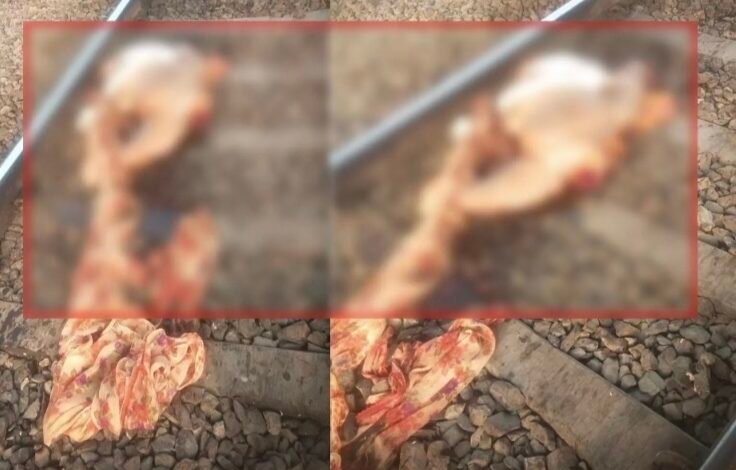 रायपुर:रेलवे ट्रैक पर महिला की दर्दनाक मौत, पुलिस कर रही पहचान की कोशिश 1 IMG 20250317 210912