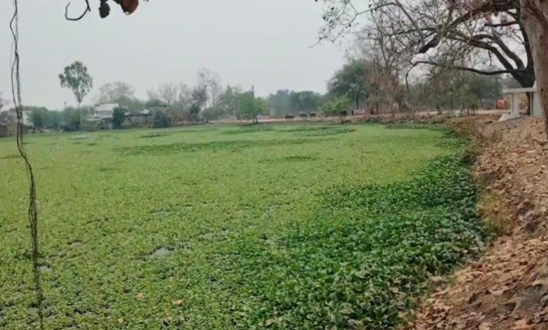राजा तालाब के संरक्षण की मांग, ग्रामीणों ने प्रशासन से लगाई गुहार 1 IMG 20250330 183055