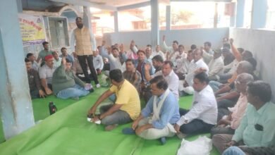 WhatsApp Image 2025 03 22 at 17.31.31 1