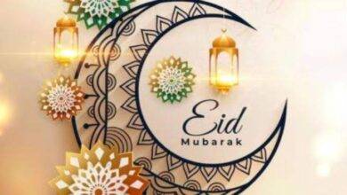 befunky 2025 2 0 10 3 12