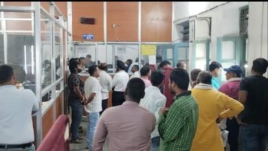 befunky 2025 2 0 15 59 41