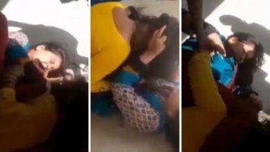 befunky 2025 2 5 8 48 42