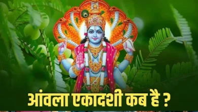 आंवला एकादशी 2025: जानें पूजा का सही समय, व्रत का महत्व