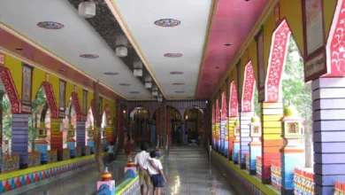 Chhattisgarh Tourism: चंपारण्य के प्रमुख पर्यटन स्थल - अनुभव करें छत्तीसगढ़ की समृद्ध संस्कृति