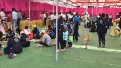 image 2025 03 06T070551.438