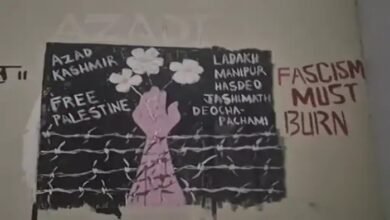 जादवपुर यूनिवर्सिटी, आजाद कश्मीर, फ्री फिलिस्तीन, पेंटिंग, ग्रैफिटी,Jadavpur University, Azad Kashmir, Free Palestine, Painting, Graffiti,