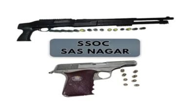 image 2025 03 15T115002.706