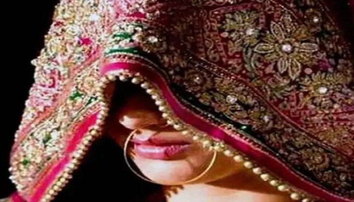 रायपुर में लुटेरी दुल्हन के खिलाफ केस दर्ज, बिना तलाक के की थी चार शादियां 1 image 2025 03 30T114105.342