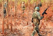 naxalites killed