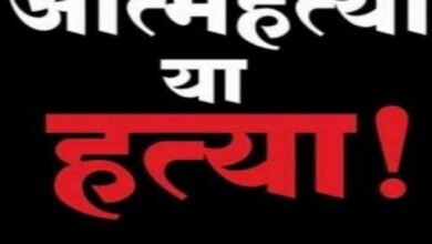 resized image 720x500 3